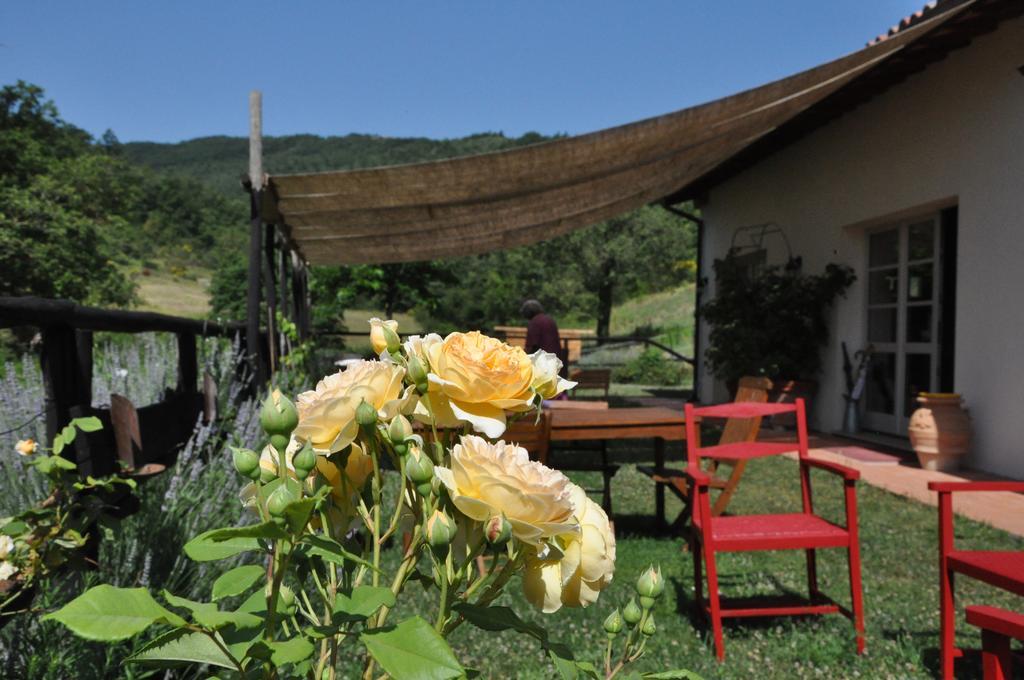 Agriturismo L'Oca Blu Hotell Gubbio Eksteriør bilde