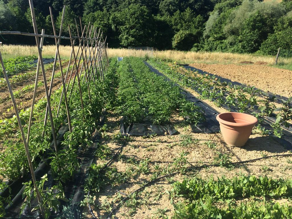 Agriturismo L'Oca Blu Hotell Gubbio Eksteriør bilde