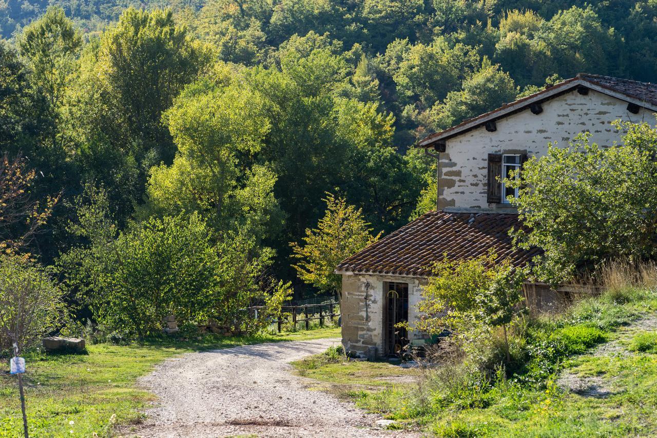 Agriturismo L'Oca Blu Hotell Gubbio Eksteriør bilde